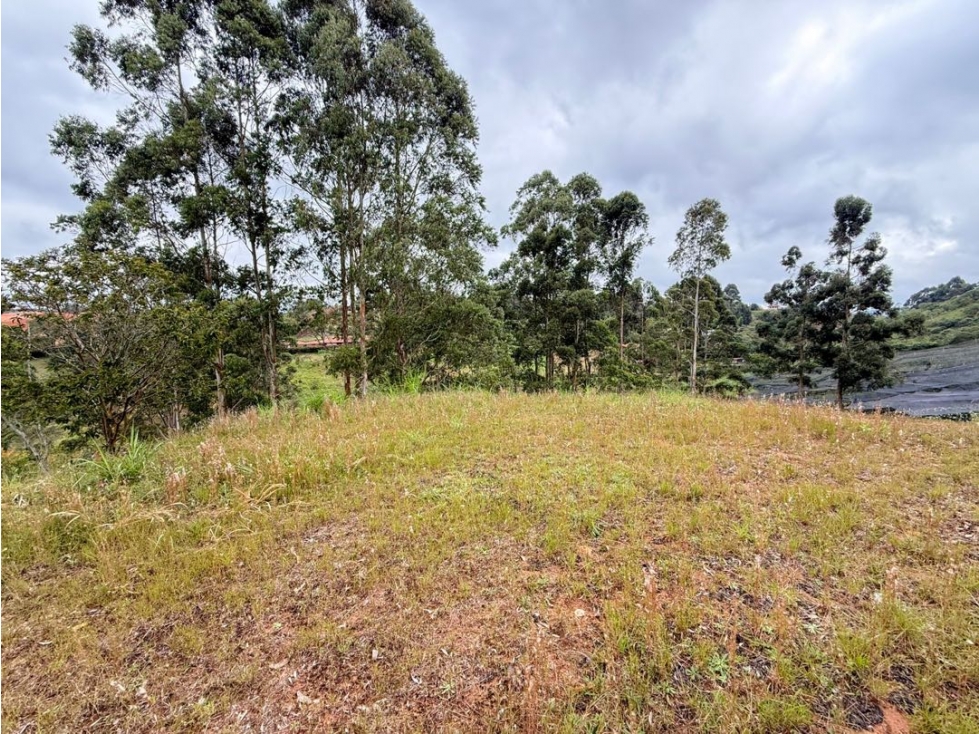 Se venden lotes de 2.700 m2 en parcelación en El Carmen de Viboral — foto 3
