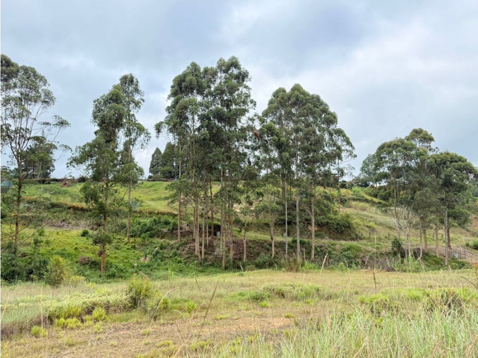 Se venden lotes de 2.700 m2 en parcelación en El Carmen de Viboral — foto 6