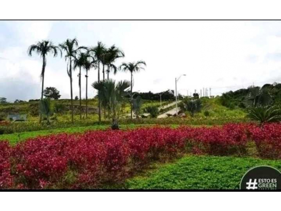 Se vende Lote en el proyecto de GREEN VALLEY en Panamá - 2