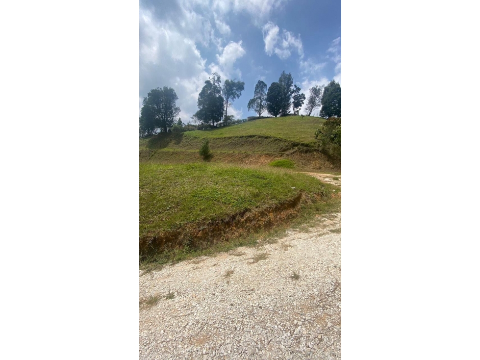 SE VENDE LOTE EN EL QUIRAMA VÍA LA CEJA RIONEGRO A 2.5 km de la vía — foto 3
