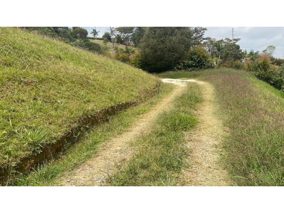 SE VENDE LOTE EN EL QUIRAMA VÍA LA CEJA RIONEGRO A 2.5 km de la vía — foto 4