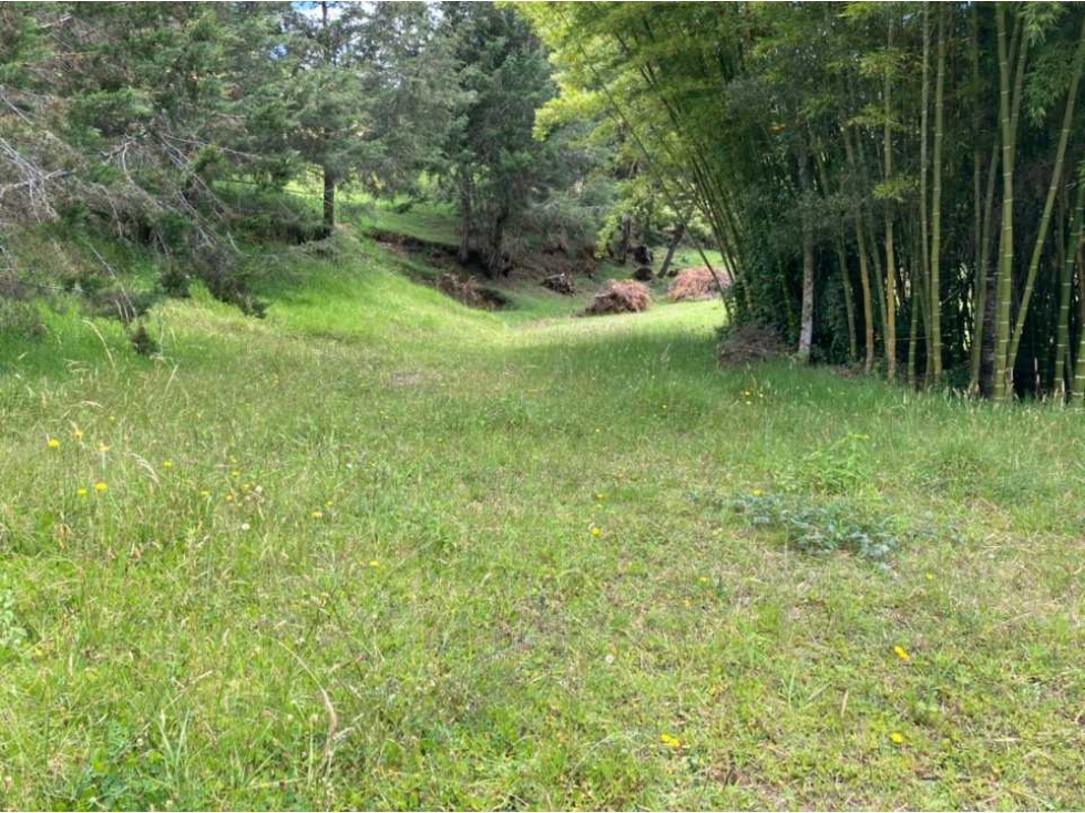 Se Vende lote en el Retiro - Vía a la Ceja - 6