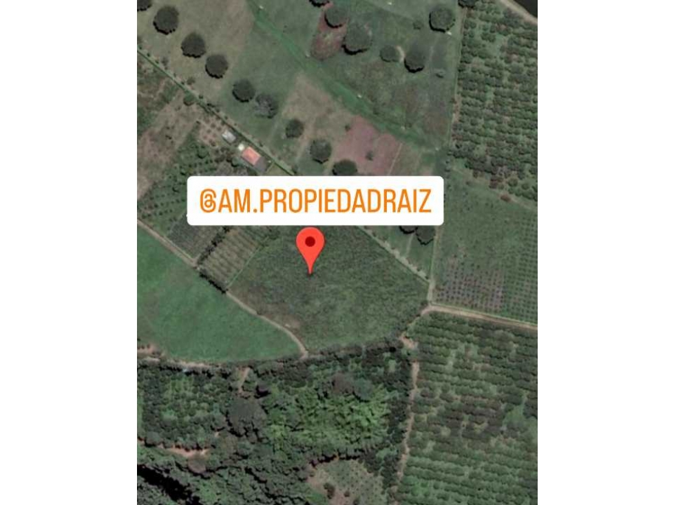 SE VENDE LOTE SECTOR EL TIGRE — foto 3
