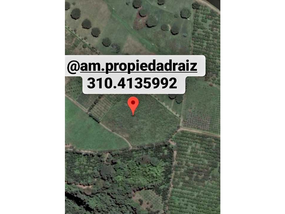SE VENDE LOTE SECTOR EL TIGRE — foto 4