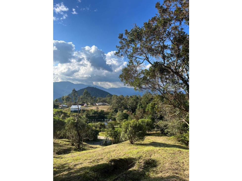 Se vende lote en envigado la catedral