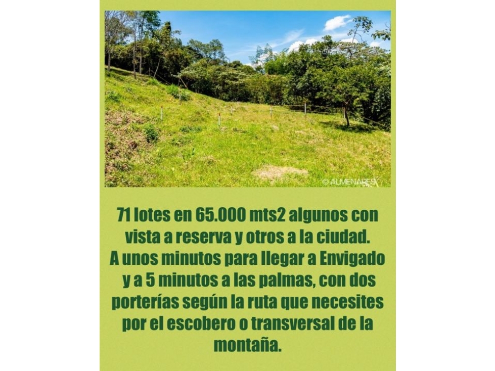 SE VENDE LOTE EN ENVIGADO, LOMA DEL ESCOBERO , EXCLUSIVA PARCELACIÓN — foto 4