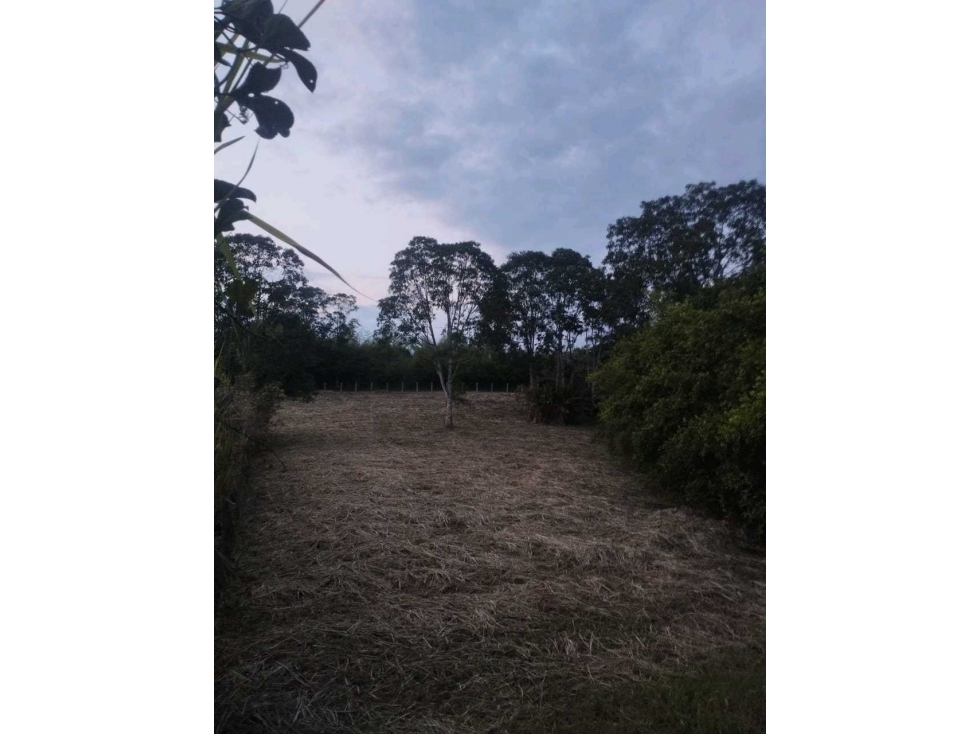 SE VENDE LOTE EN GALICIA — foto 5