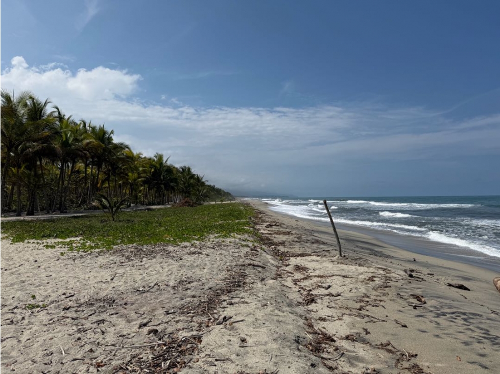 Se vende lote con frente de playa en Guachaca - Santa Marta — foto 2