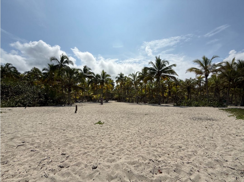Se vende lote con frente de playa en Guachaca - Santa Marta — foto 3