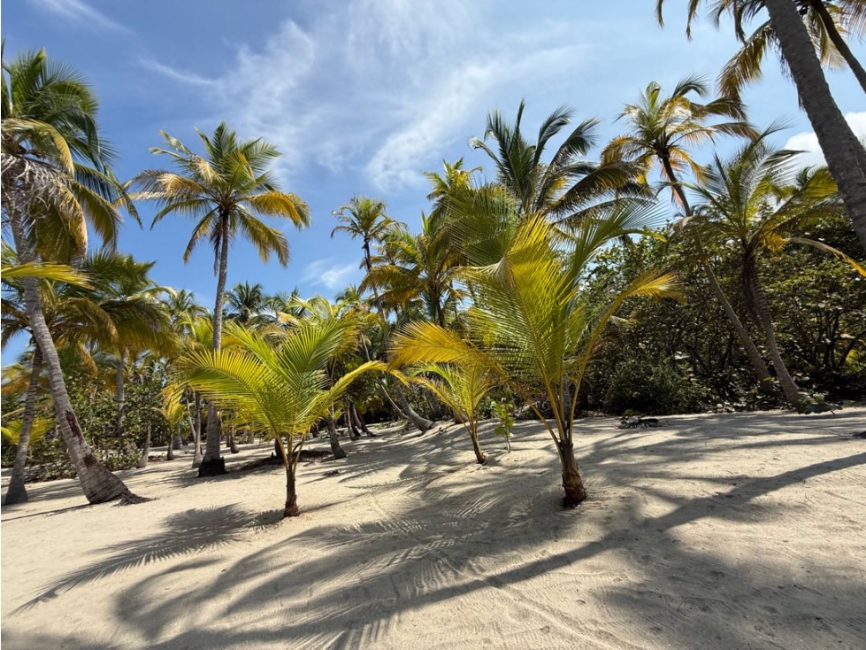Se vende lote con frente de playa en Guachaca - Santa Marta — foto 4