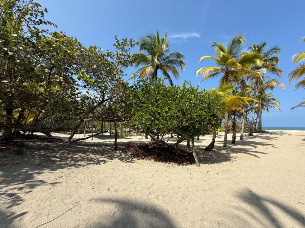 Se vende lote con frente de playa en Guachaca - Santa Marta — foto 5