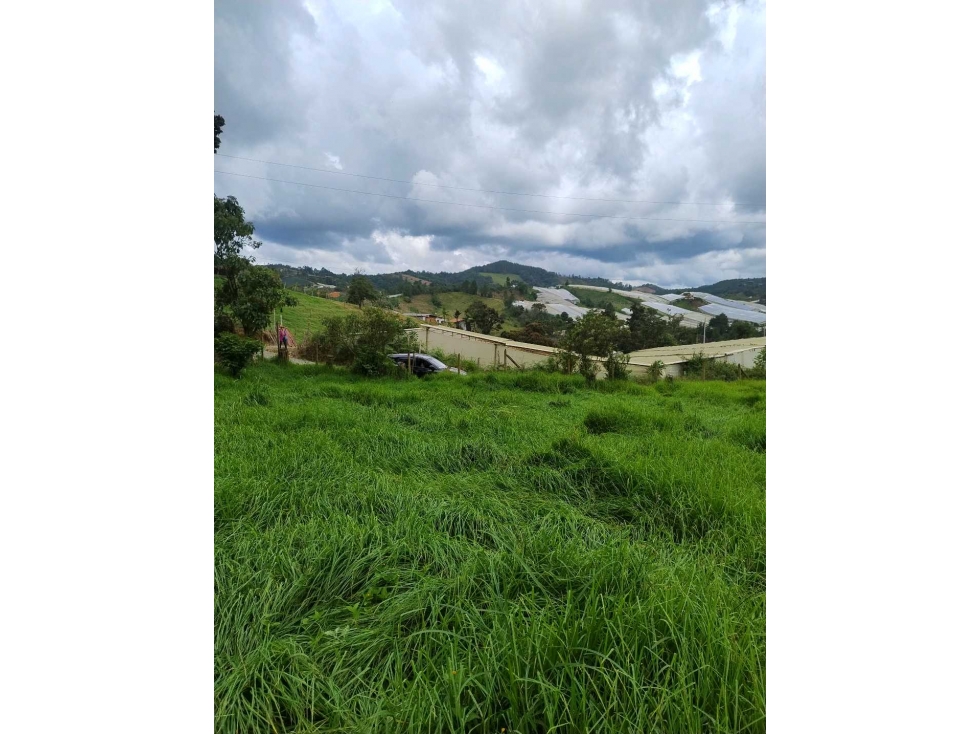SE VENDE LOTE EN GUARNE,VEREDA GUAPANTE ARRIBA,A 15 MINUTOS DEL PUEBLO — foto 4