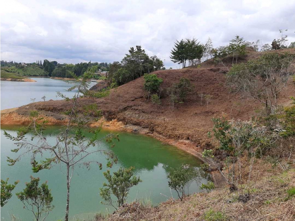 Se vende lote en guatape antioquia — foto 6