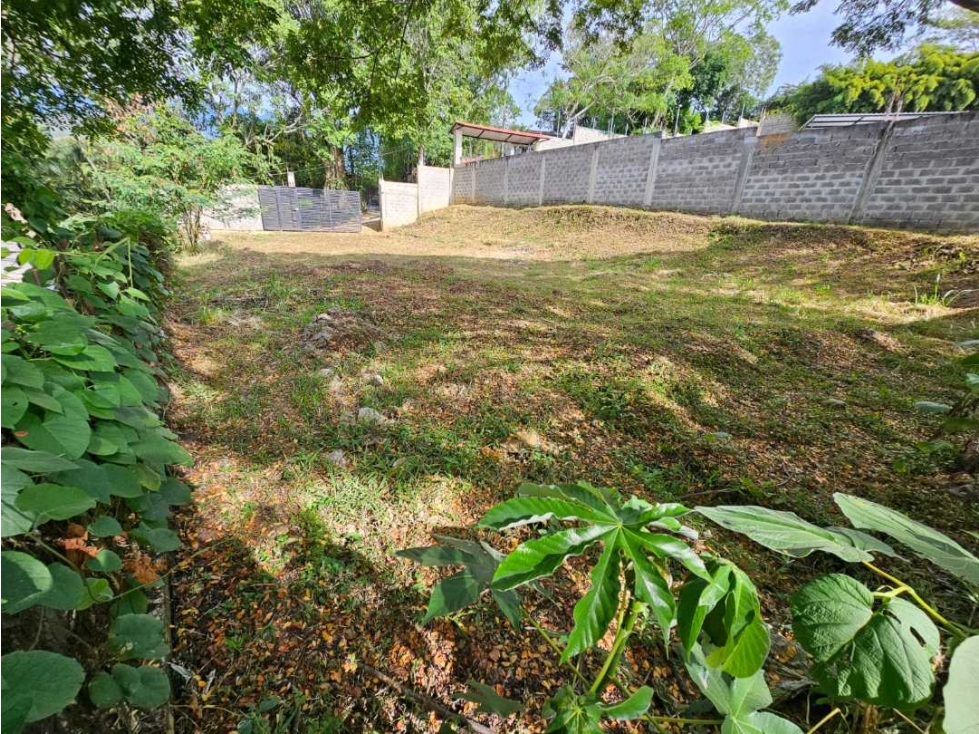 Se vende lote en la buitrera callejon san martin ALG- AS 10073739 — foto 5