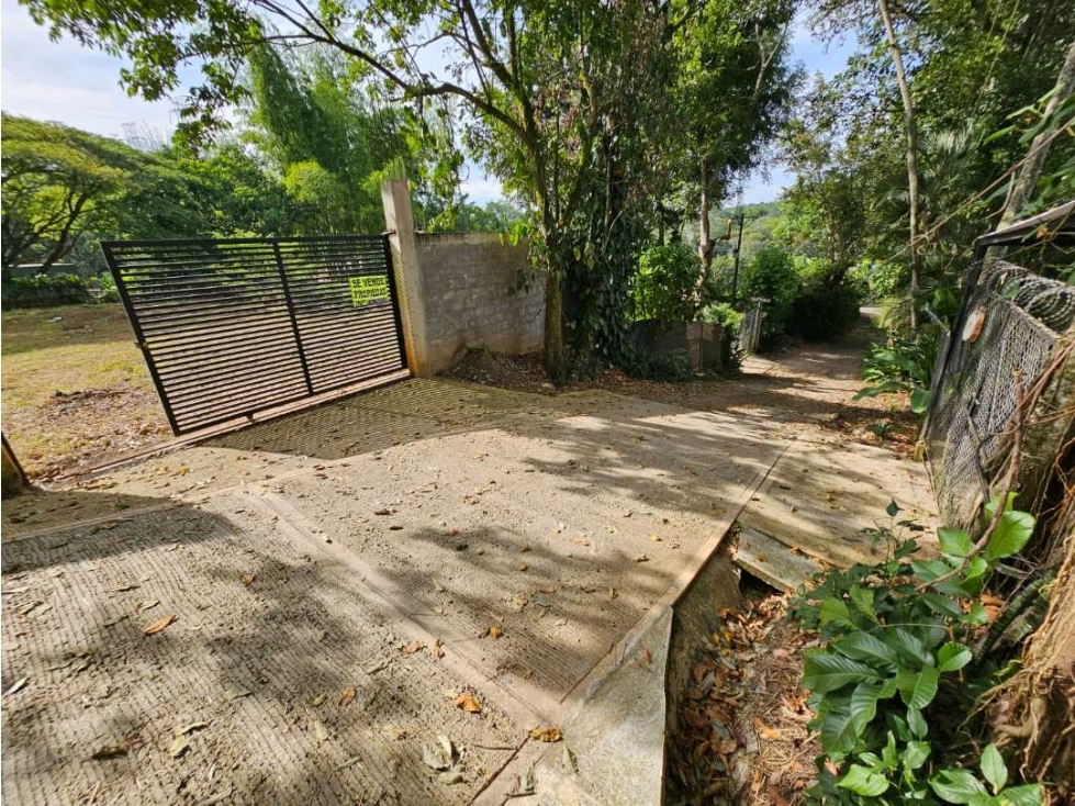 Se vende lote en la buitrera callejon san martin ALG- AS 10073739 — foto 3