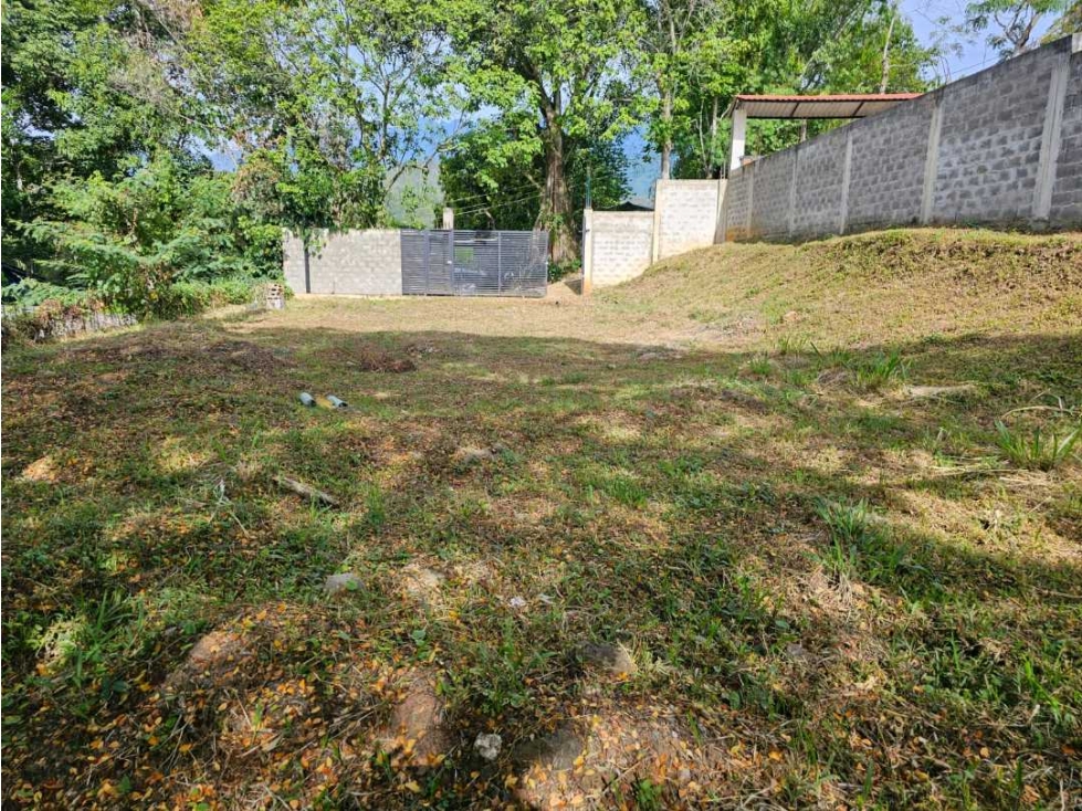 Se vende lote en la buitrera callejon san martin ALG- AS 10073739 — foto 6