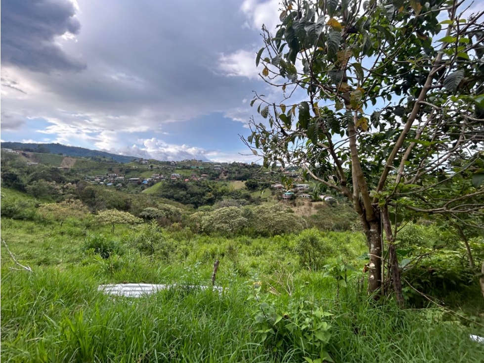 SE VENDE LOTE EN LA BUITRERA EXCELENTE VISTA COLINDA CON EL RÍO — foto 3