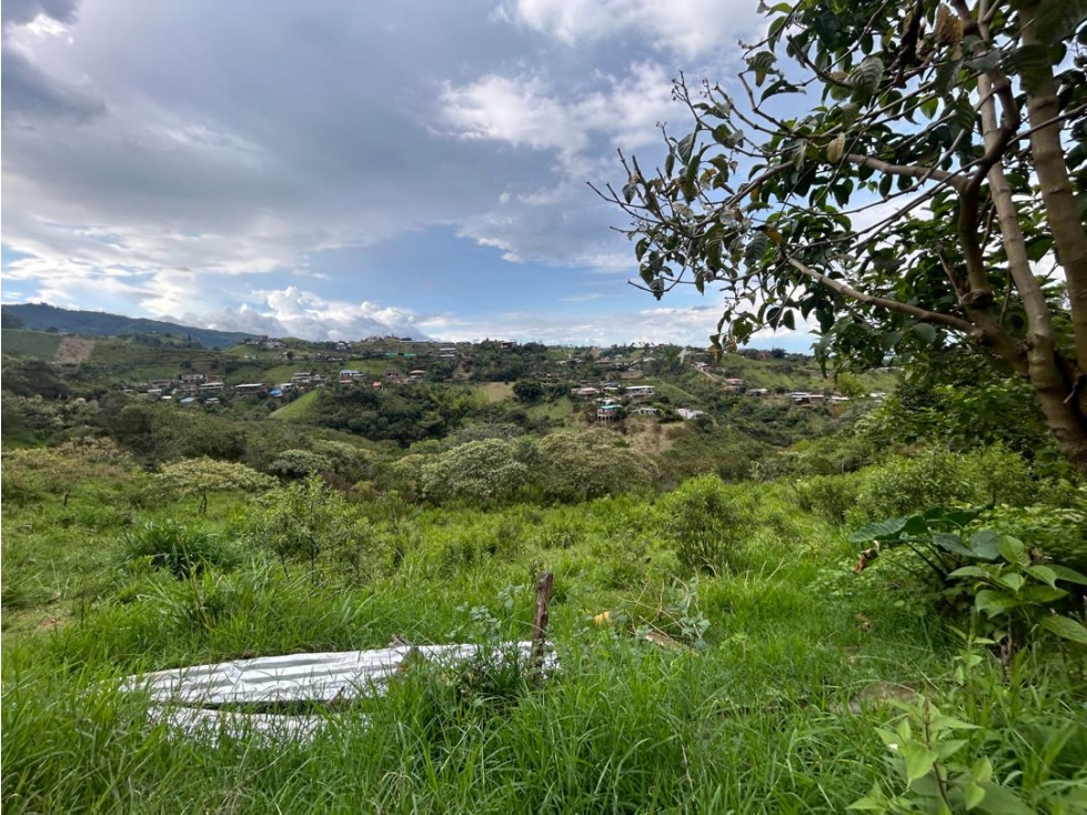 SE VENDE LOTE EN LA BUITRERA EXCELENTE VISTA COLINDA CON EL RÍO — foto 5