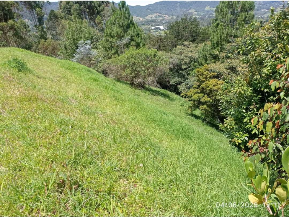 Se vende lote en la ceja Antioquia