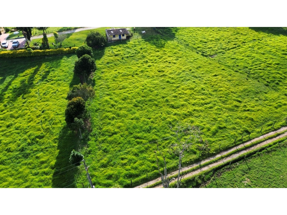 SE VENDE LOTE EN LA CEJA INDEPENDIENTE ÁREA 2500 m2 VIA HACIA LLANOG