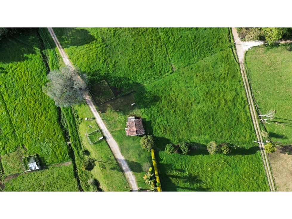 SE VENDE LOTE EN LA CEJA INDEPENDIENTE ÁREA 2500 m2 VIA HACIA LLANOG — foto 2