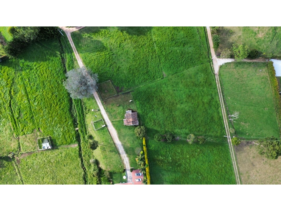 SE VENDE LOTE EN LA CEJA INDEPENDIENTE ÁREA 2500 m2 VIA HACIA LLANOG — foto 4
