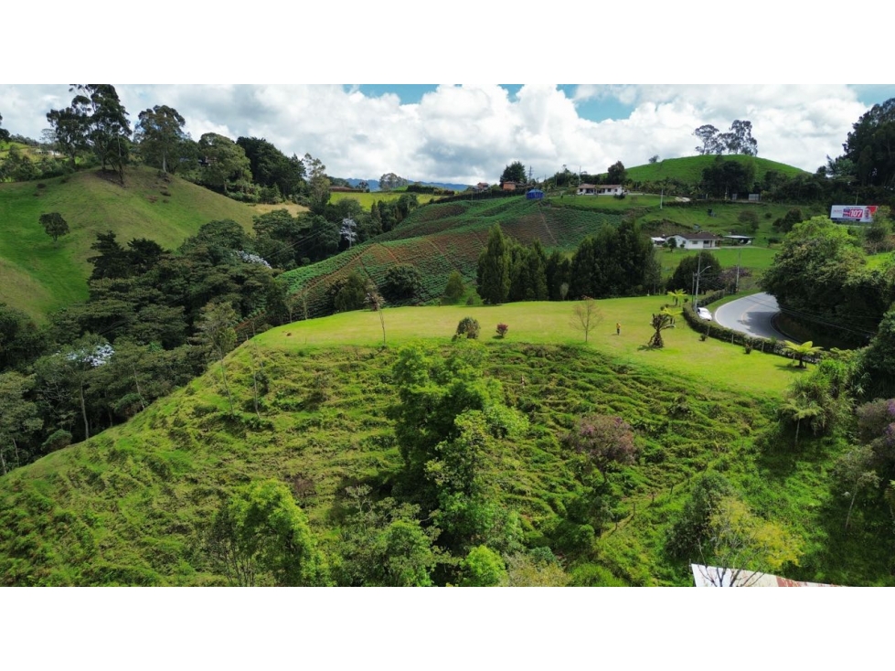 SE VENDE LOTE EN LA CEJA PARA VIVIENDA CAMPESTRE O COMERCIO CON VISTA