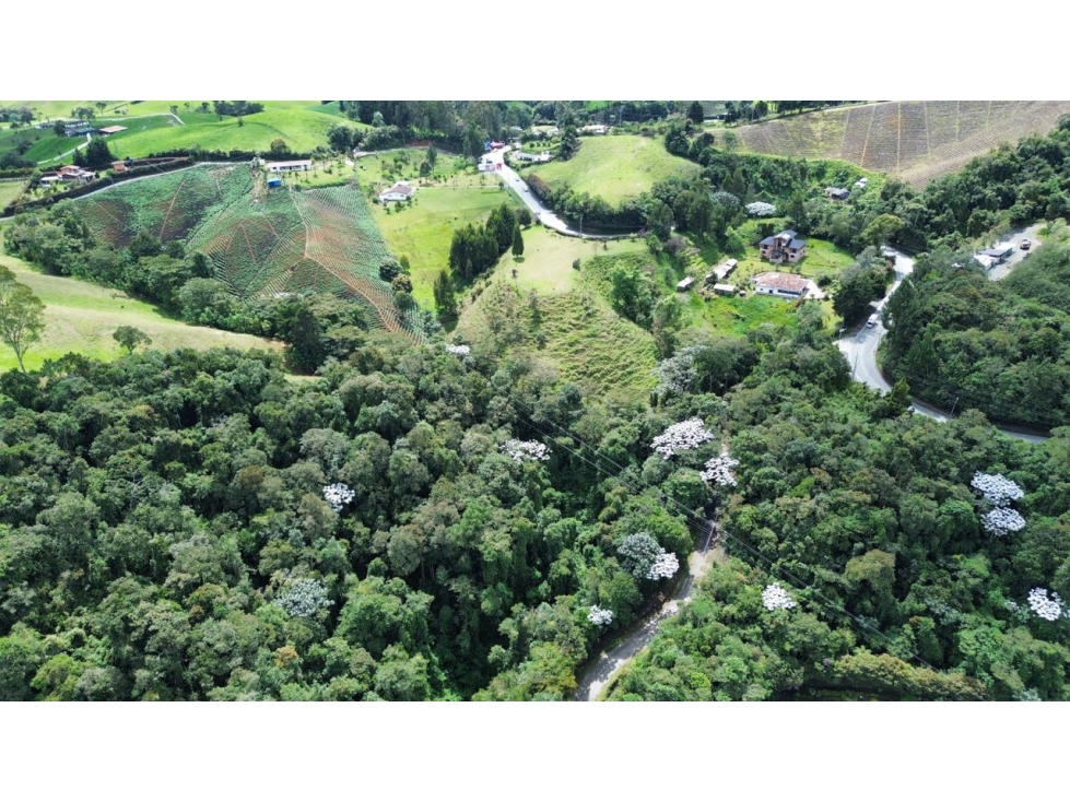 SE VENDE LOTE EN LA CEJA PARA VIVIENDA CAMPESTRE O COMERCIO CON VISTA — foto 5