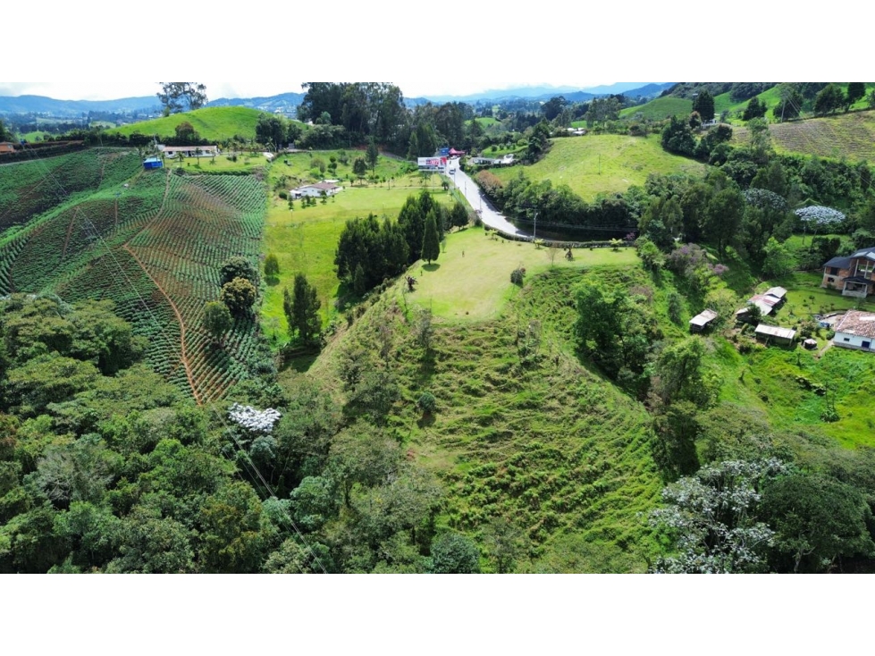 SE VENDE LOTE EN LA CEJA PARA VIVIENDA CAMPESTRE O COMERCIO CON VISTA — foto 6
