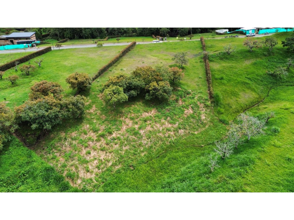 SE VENDE LOTE EN LA CEJA PARCELACION 387 RESERVA SILVESTRE LOTE PLANO — foto 3