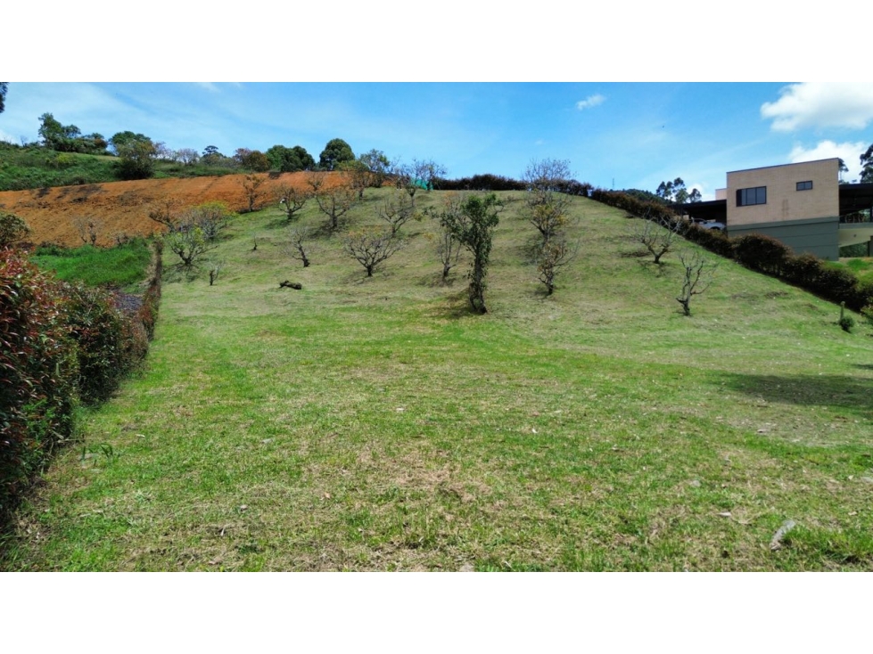 SE VENDE LOTE EN LA CEJA RESERVA SILVESTRE TOPOGRAFÍA MIXTA PENDIENTE — foto 2