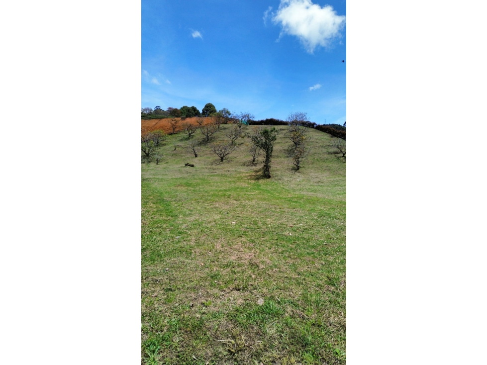 SE VENDE LOTE EN LA CEJA RESERVA SILVESTRE TOPOGRAFÍA MIXTA PENDIENTE — foto 3