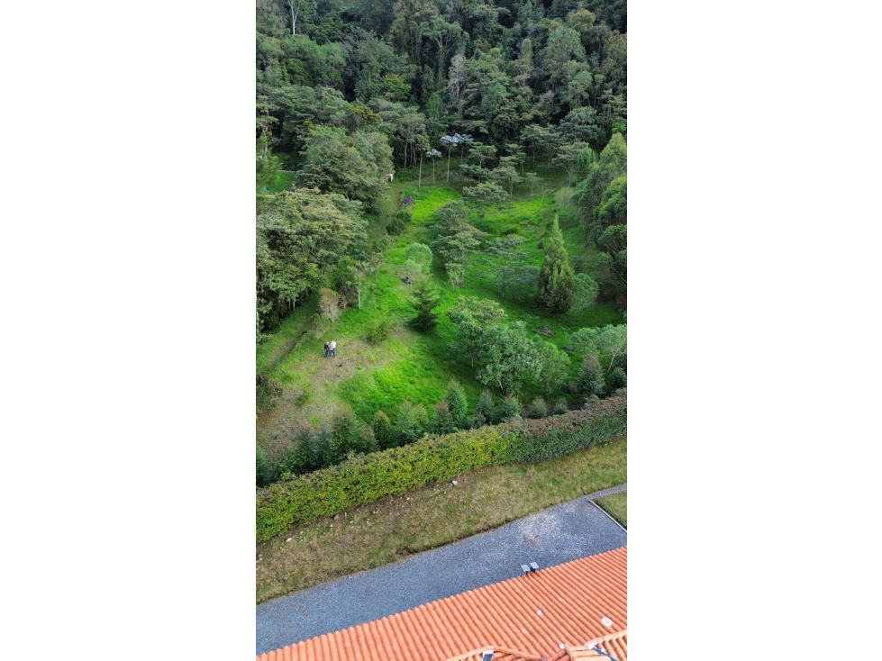 SE VENDE LOTE EN LA CEJA SECTOR EL TABOR[NATYZU] — foto 2