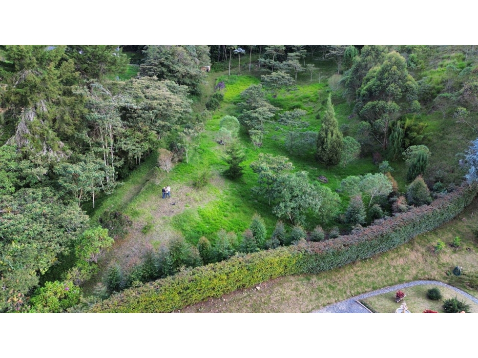 SE VENDE LOTE EN LA CEJA SECTOR EL TABOR[NATYZU] — foto 3