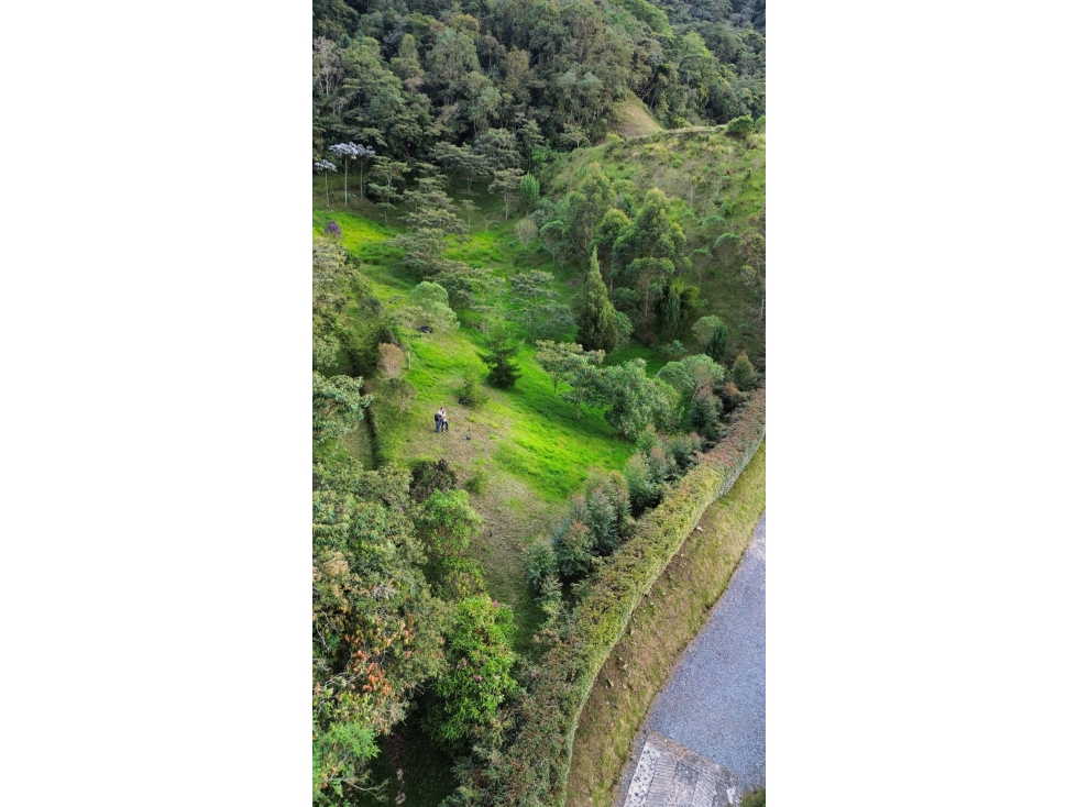 SE VENDE LOTE EN LA CEJA SECTOR EL TABOR[NATYZU] — foto 4