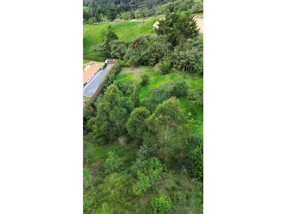 SE VENDE LOTE EN LA CEJA SECTOR EL TABOR[NATYZU] — foto 6