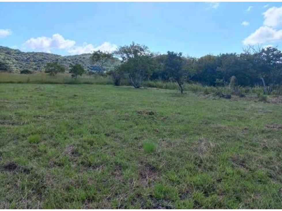 Se vende lote en La Pintada Penonomé Coclé - 5