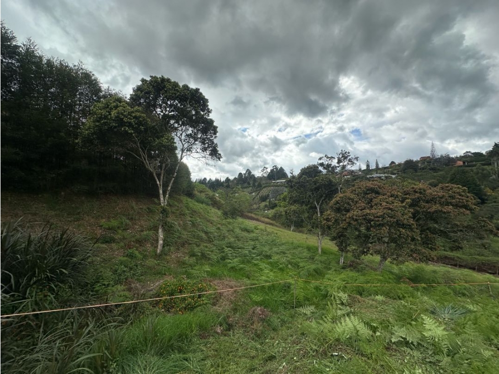 SE VENDE LOTE EN LA VEREDA HOJAS ANCHAS. GUARNE. — foto 4