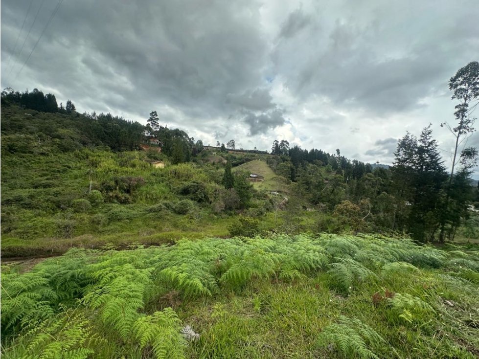 SE VENDE LOTE EN LA VEREDA HOJAS ANCHAS. GUARNE. — foto 6