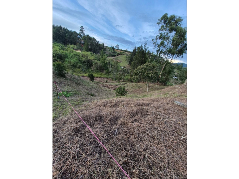 SE VENDE LOTE EN LA VEREDA HOJAS ANCHAS. GUARNE. — foto 6