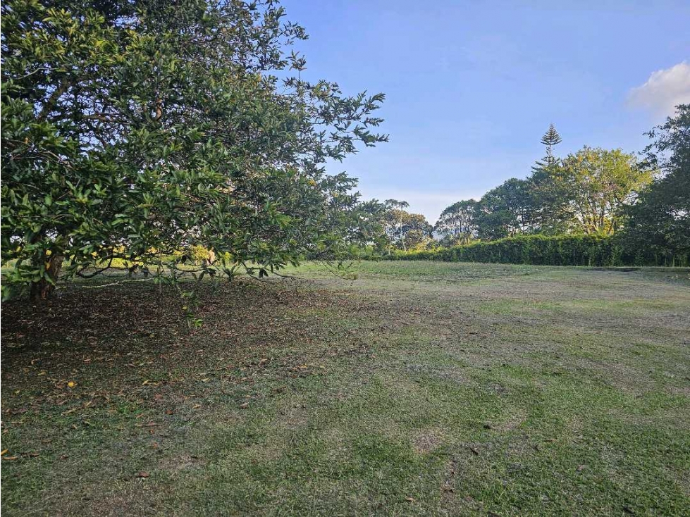Se Vende Lote en Rionegro LLanogrande Vilachuaga — foto 5