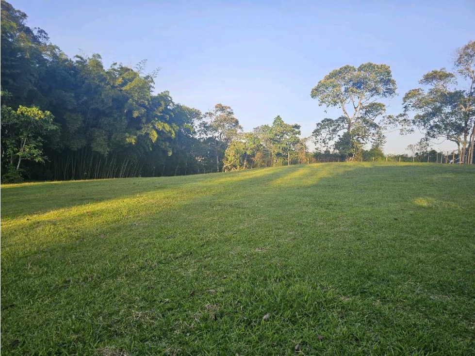 Se Vende Lote en Rionegro LLanogrande Vilachuaga — foto 2