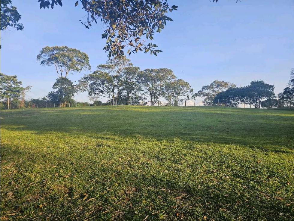 Se Vende Lote en Rionegro LLanogrande Vilachuaga — foto 5