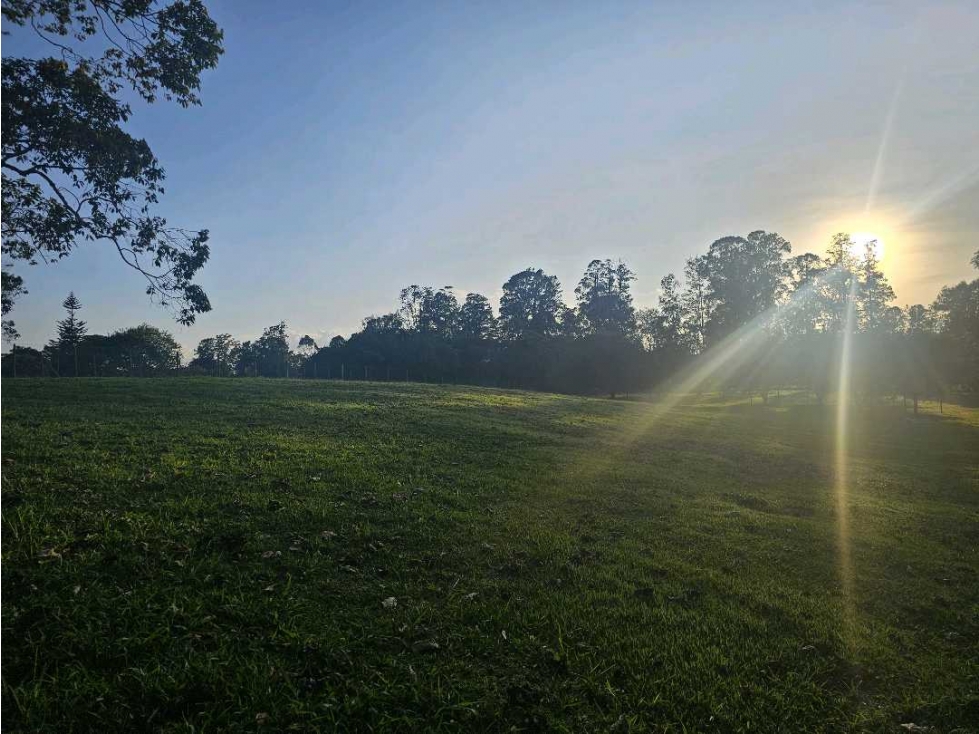 Se Vende Lote en Rionegro LLanogrande Vilachuaga — foto 6