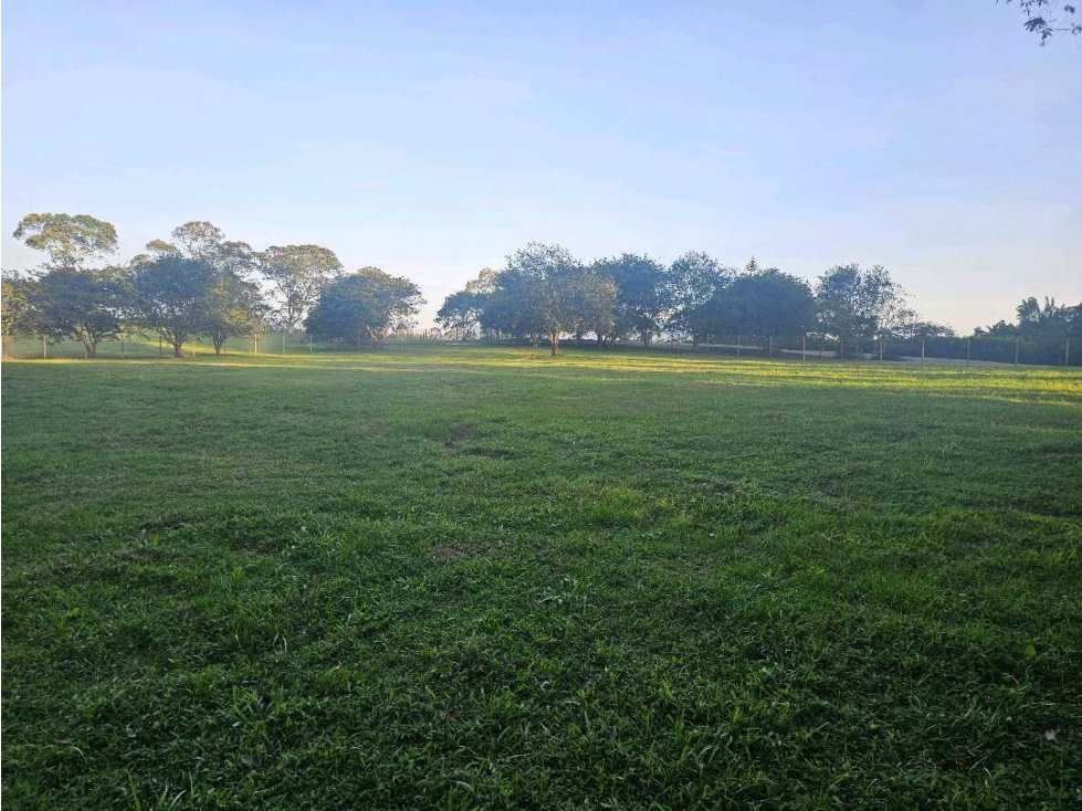 Se Vende Lote en Rionegro LLanogrande Vilachuaga — foto 2