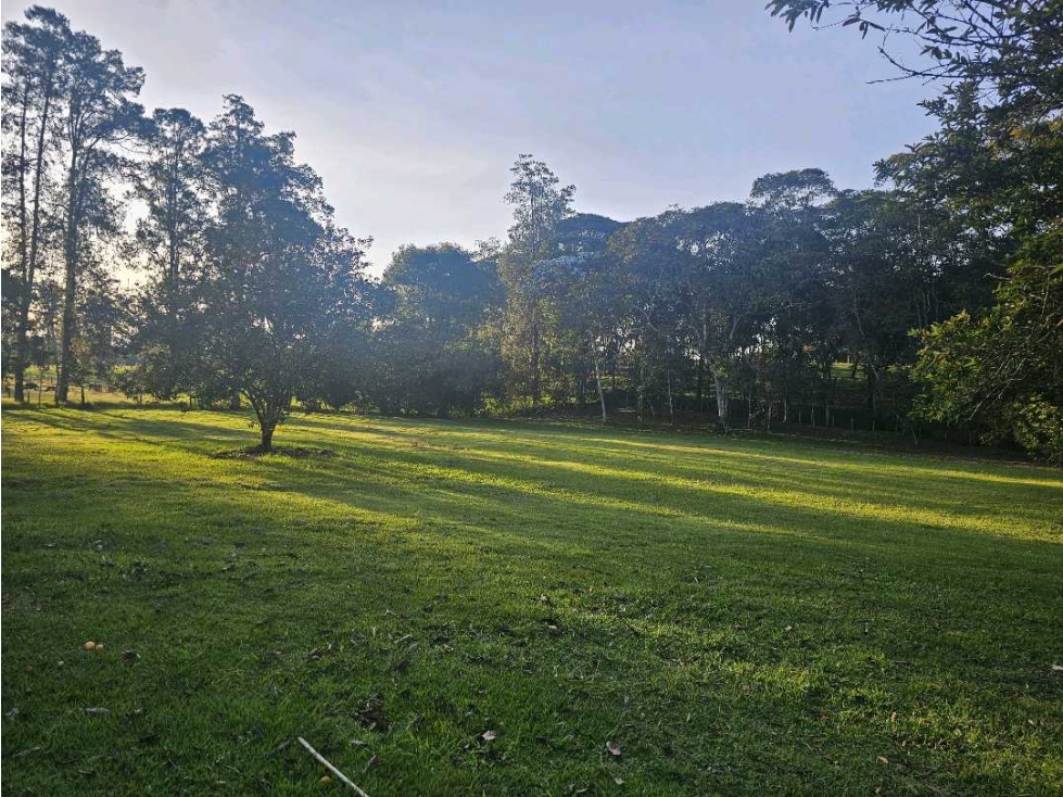 Se Vende Lote en Rionegro LLanogrande Vilachuaga — foto 3