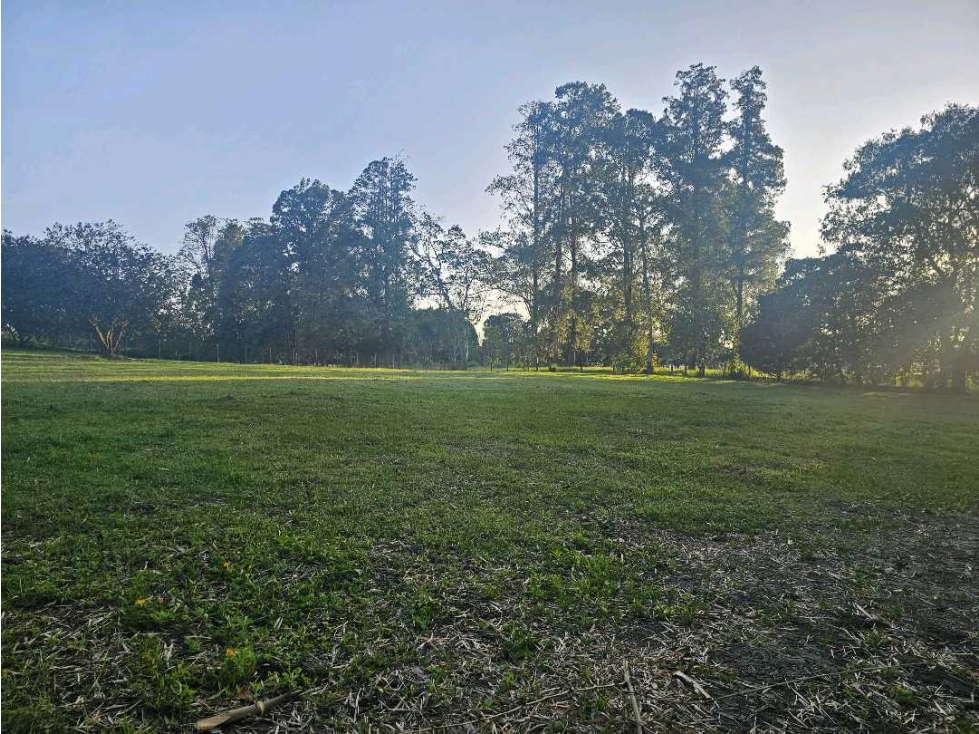 Se Vende Lote en Rionegro LLanogrande Vilachuaga — foto 5