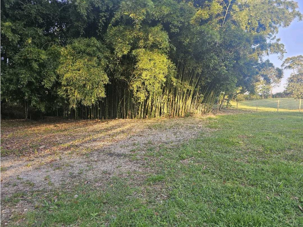 Se Vende Lote en Rionegro LLanogrande Vilachuaga — foto 6