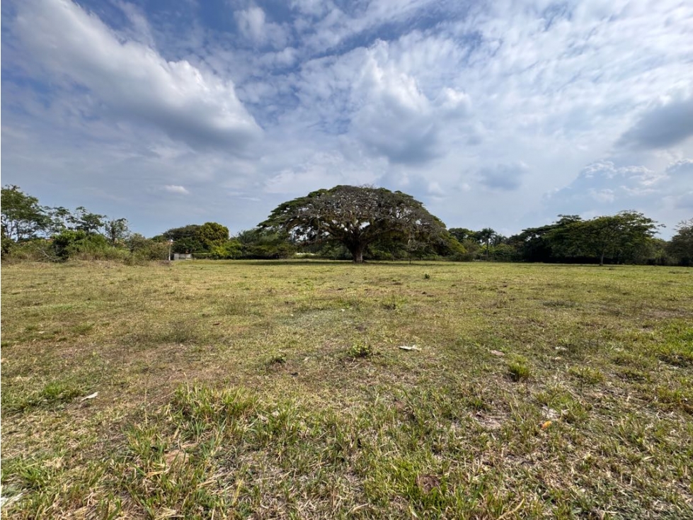 SE VENDE LOTE EN LA VIGA PANCE RP- MUR