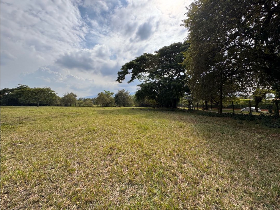 SE VENDE LOTE EN LA VIGA PANCE RP- MUR — foto 4